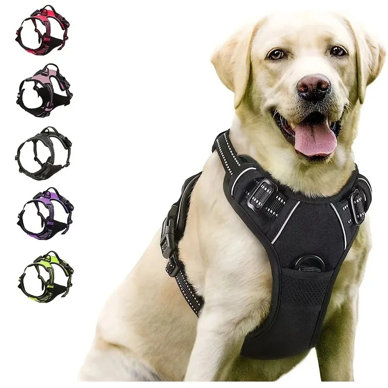 BeiYu Leather Dog Collar and Harness Set with Ultimate Comfort for Medium and Small Dogs
