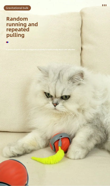 NoBrand Interactive Cat Toy Ball with Self-Rotating Mechanism for Indoor and Outdoor Play