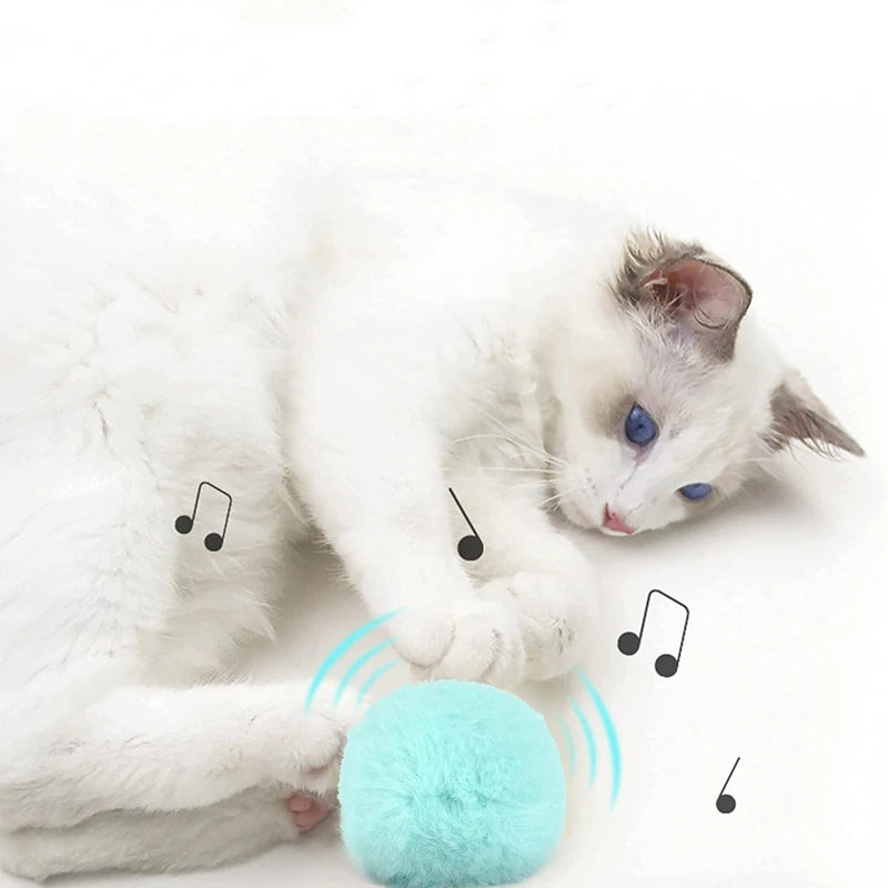 COOYOMO Interactive Cat Toy Ball with Catnip for Engaging Playtime for Kittens and Cats