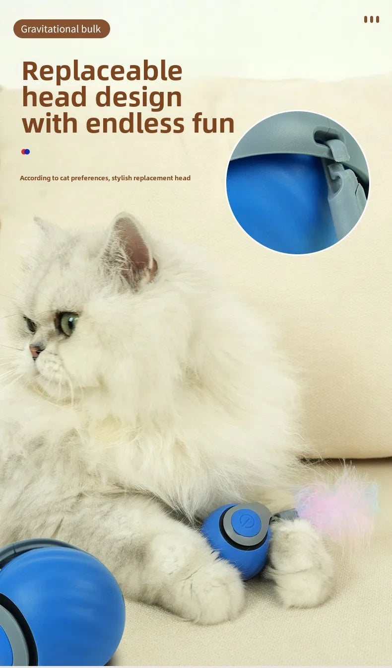 NoBrand Interactive Cat Toy Ball with Self-Rotating Mechanism for Indoor and Outdoor Play