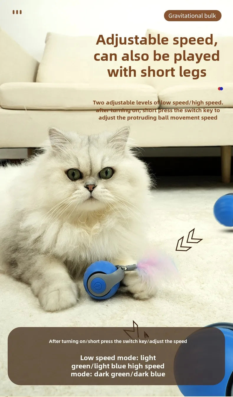NoBrand Interactive Cat Toy Ball with Self-Rotating Mechanism for Indoor and Outdoor Play