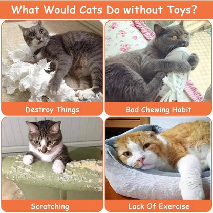 NoEnName_Null Plush Catnip Toys Set with Anti-boredom Features for Indoor Cats