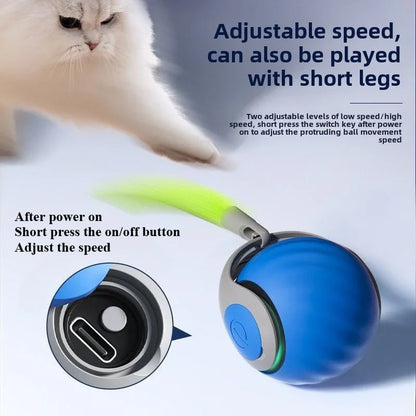 NoBrand Interactive Cat Toy Ball with Self-Rotating Mechanism for Indoor and Outdoor Play