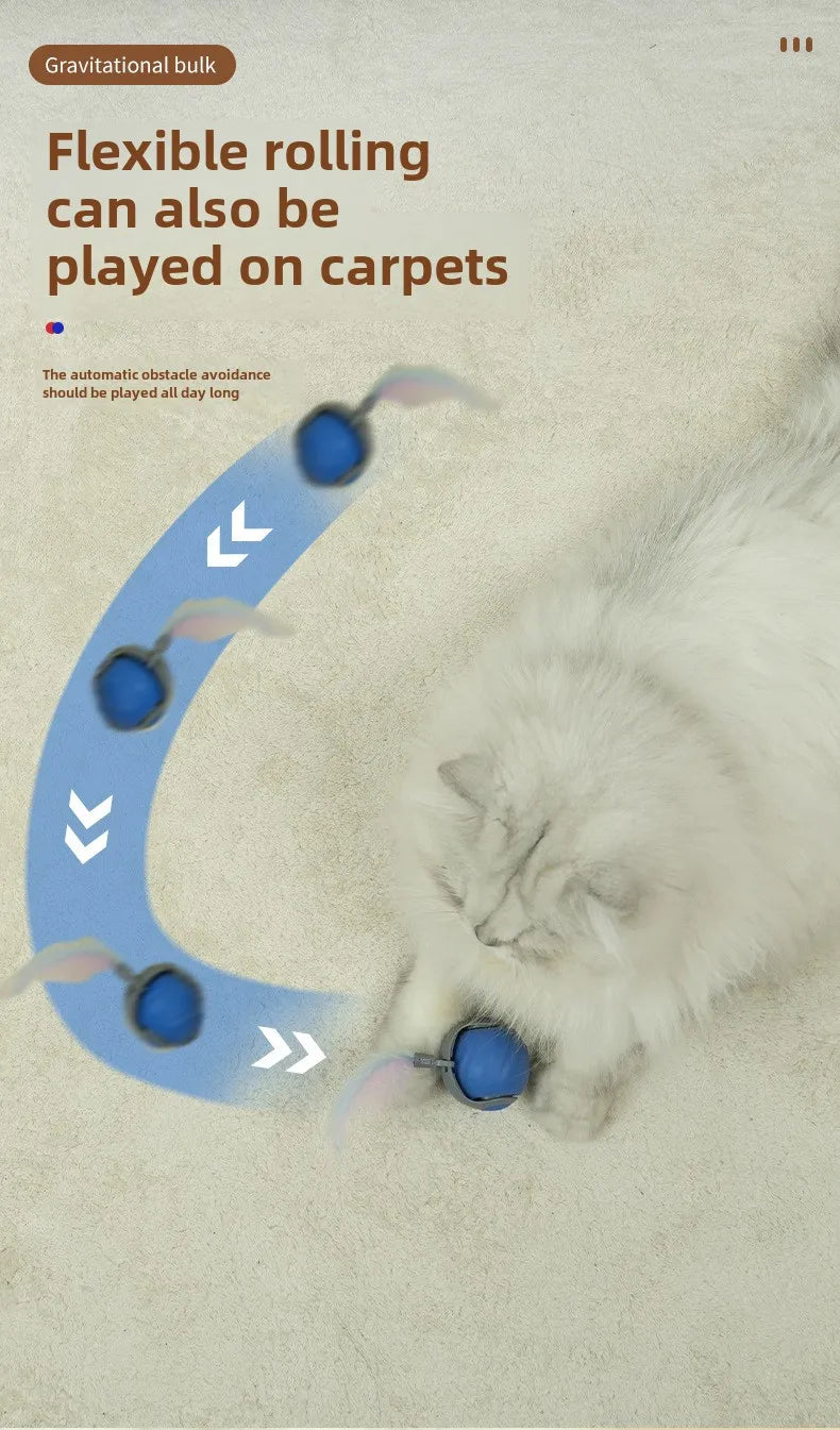 NoBrand Interactive Cat Toy Ball with Self-Rotating Mechanism for Indoor and Outdoor Play