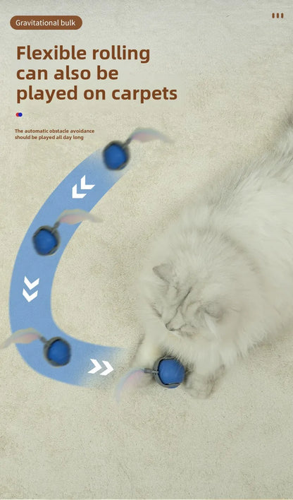 NoBrand Interactive Cat Toy Ball with Self-Rotating Mechanism for Indoor and Outdoor Play