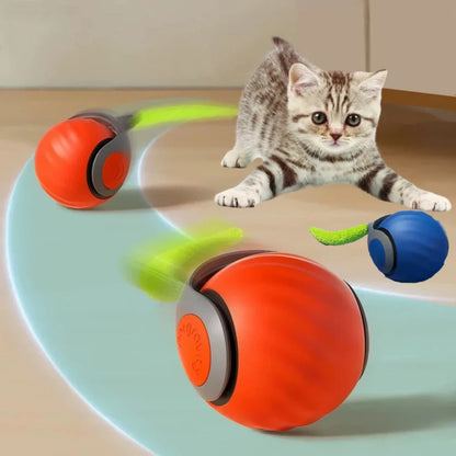 NoBrand Interactive Cat Toy Ball with Self-Rotating Mechanism for Indoor and Outdoor Play