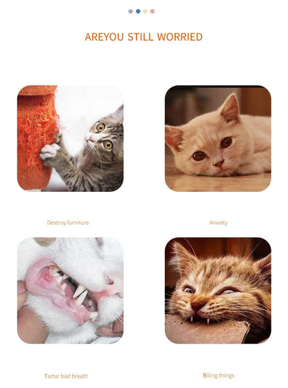 NoBrand Interactive Cat Chew Toy with Sound for Dental Care and Play