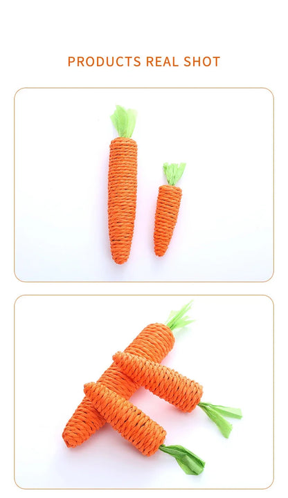 NoBrand Interactive Cat Chew Toy with Sound for Dental Care and Play