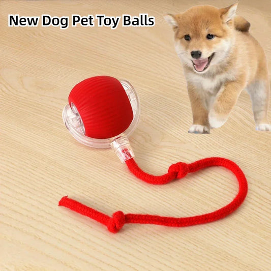 Rechargeable Interactive Pet Toy with Automatic Rolling Feature for Dogs and Cats