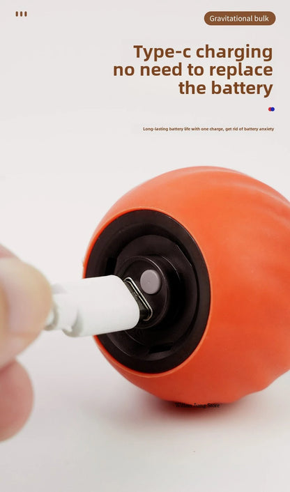 NoBrand Interactive Cat Toy Ball with Self-Rotating Mechanism for Indoor and Outdoor Play