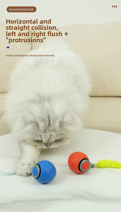 NoBrand Interactive Cat Toy Ball with Self-Rotating Mechanism for Indoor and Outdoor Play