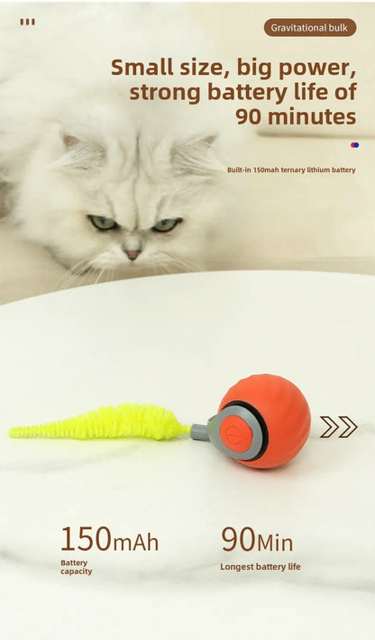 NoBrand Interactive Cat Toy Ball with Self-Rotating Mechanism for Indoor and Outdoor Play